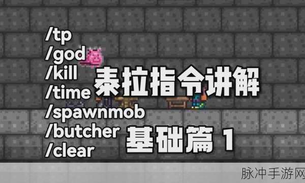 泰拉瑞亚探险秘籍，灵液黏黏怪高效刷怪法，解锁游戏新世界！