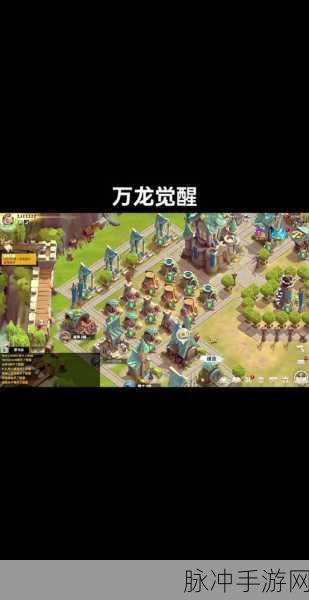 万龙觉醒,宠物放生全攻略,三步解锁自由之旅