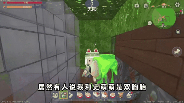 迷你世界纯白停更之谜,玩家心中的未解之惑
