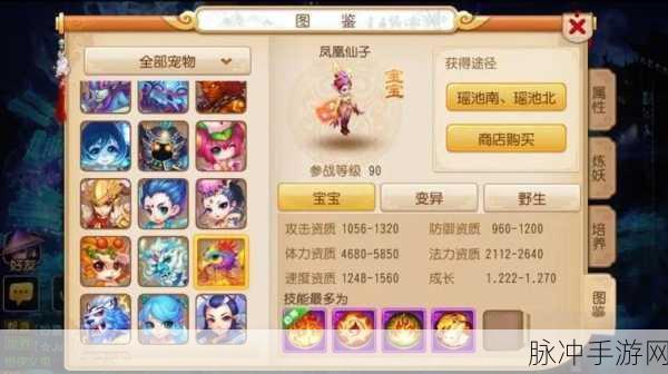 梦幻西游手游,69级顶尖血宠选择与培养全攻略