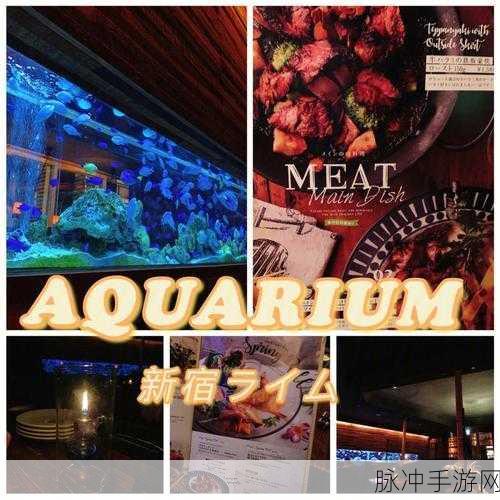 烟雨江湖庙会盛宴揭秘,后厨隐秘与美食制作全攻略