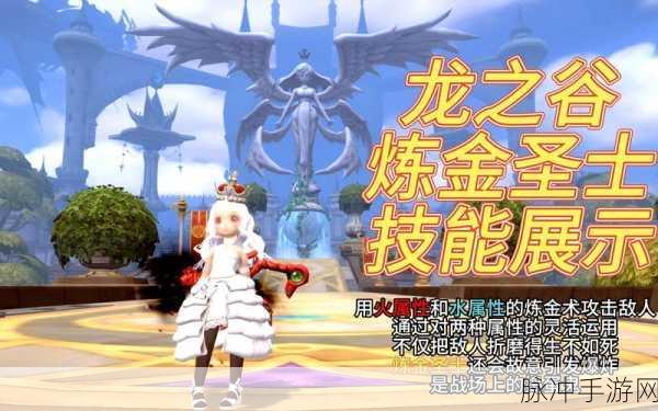 龙之谷炼金术士秘籍，加点全攻略大揭秘