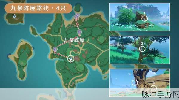 原神鬼兜虫全攻略,位置揭秘与捕捉秘籍