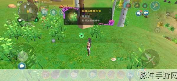 创造与魔法，启蒙灵药使用深度解析