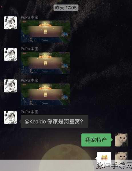 摩尔庄园手游黑色浆果采集秘籍,全面攻略助你资源满载