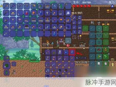 泰拉瑞亚魔力上限深度解析，如何突破限制？