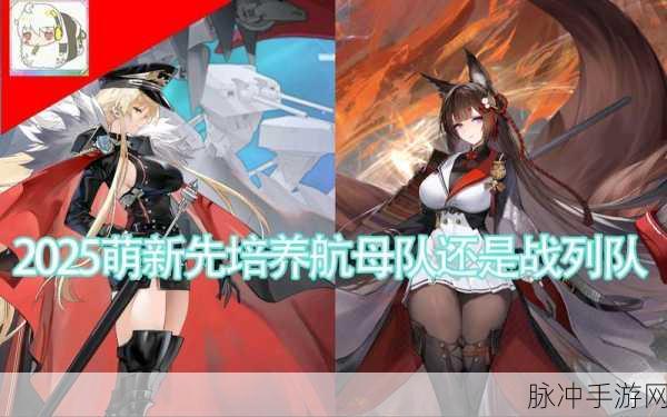 碧蓝航线航母编队深度剖析,荣耀征途,挑战无界