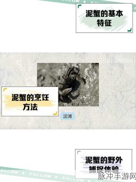 星球重启伊甸泥蟹获取秘籍，钓鱼技巧大揭秘