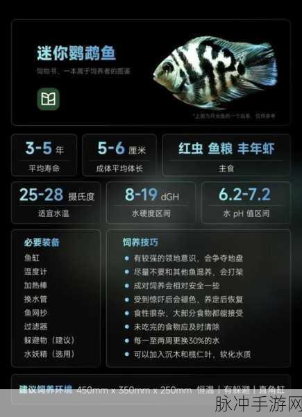 迷你世界，解锁鱼的繁殖与高效养殖秘籍