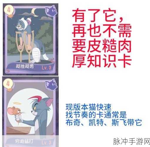 猫和老鼠手游，顶尖知识卡搭配秘籍，解锁赛场霸主之路！