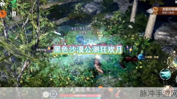 黑色沙漠手游,揭秘黄金玫瑰获取全攻略