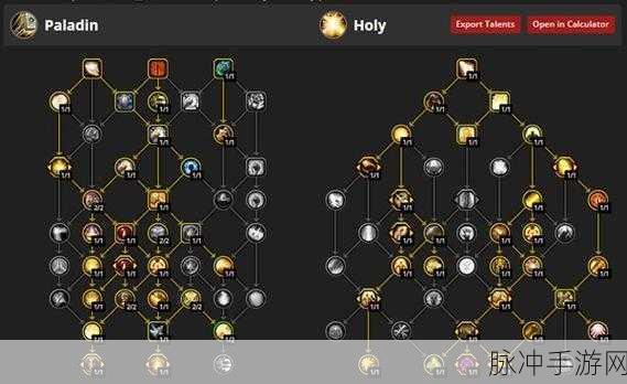 魔兽世界圣骑士天赋加点全攻略，打造你的专属骑士