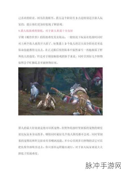 魔兽世界猎人,优势与劣势的深度剖析