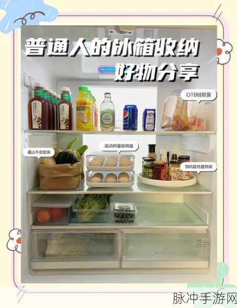 小小冰箱收纳师，开启你的趣味收纳之旅，下载即享休闲益智新体验