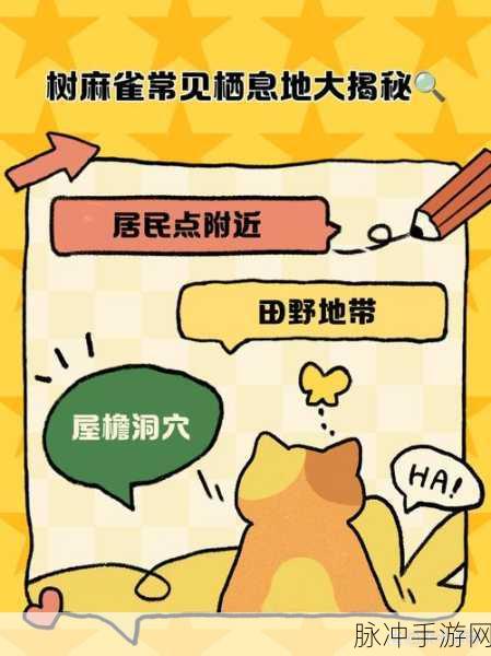 麻雀踪迹揭秘,创造与魔法中麻雀捕捉全攻略