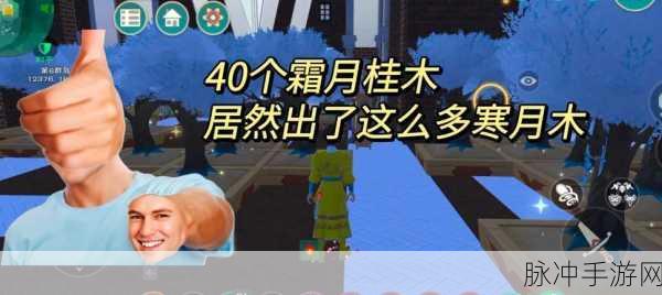 探索创造与魔法霜月桂木的奇妙用途