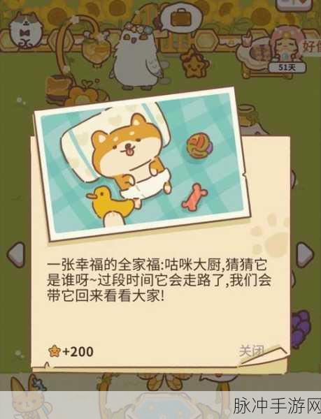 解锁萌宠记忆，动物餐厅柴犬小宝照片获取全攻略