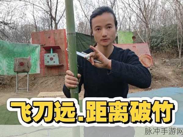 飞刀绝技，乐在其中 —— 探索我的飞刀世界的无限趣味