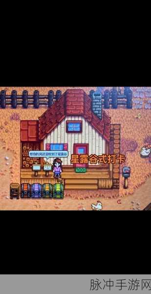星露谷物语，打造专属织布机，解锁布料制作新篇章