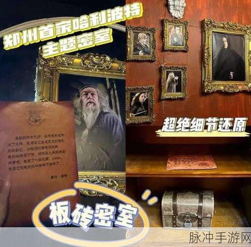 哈利古墓探险，吸血鬼古墓密室逃脱大揭秘