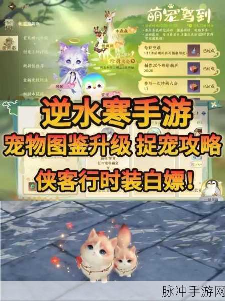 原神小宠物获取与培养秘籍,解锁宠物大师之路
