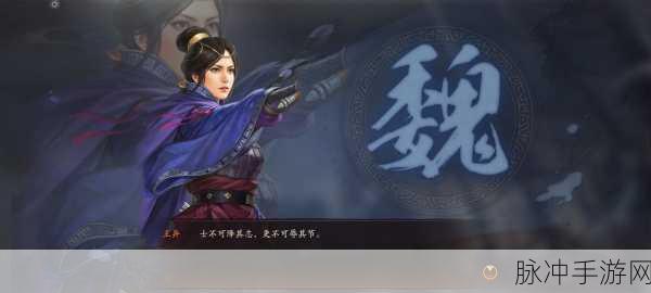 三国志战略版深度解析，王异能否成为核心武将？
