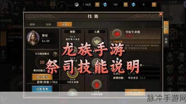 大话西游龙族手游，职业深度解析与技能全揭秘
