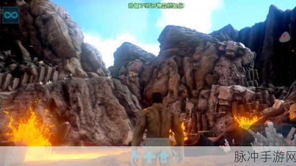 方舟Steam显伤大揭秘，战斗高手的进阶秘籍