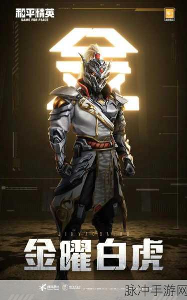 和平精英暗夜之虎套装，解锁神秘战衣的全方位攻略
