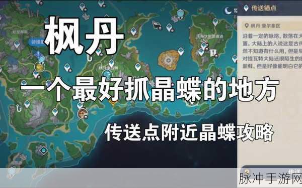 原神枫丹新宠，琥珀犬踪迹全揭秘与刷新攻略