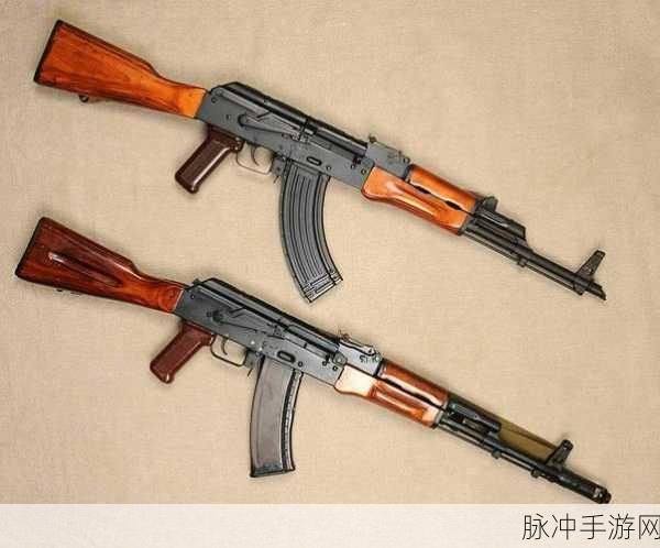 地铁逃生AKM与M4A1，终极对决，谁是你的生存守护神？