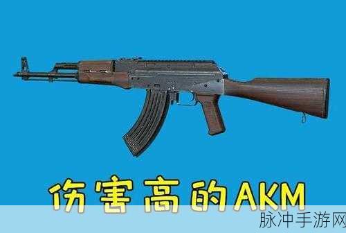 地铁逃生AKM与M4A1,终极对决,谁是你的生存守护神?