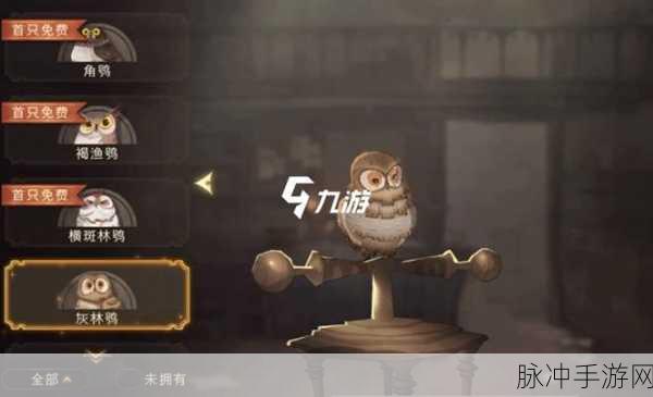 哈利波特魔法觉醒，揭秘咿啦猫头鹰商店的奇妙之旅