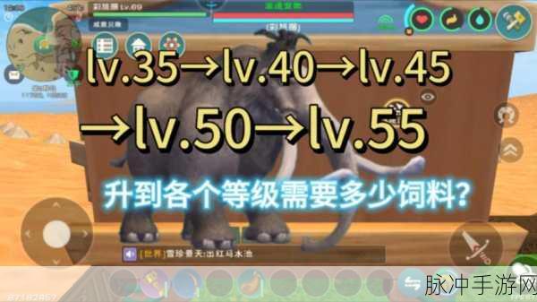 创造与魔法象牙获取全攻略，珍稀资源轻松入手