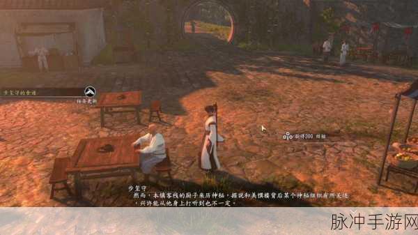 河洛群侠传浪漫揭秘，大研镇客栈的男女情深之旅