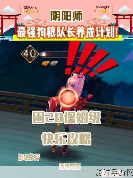 阴阳师狗粮副本全攻略,高效地点与经验秘籍