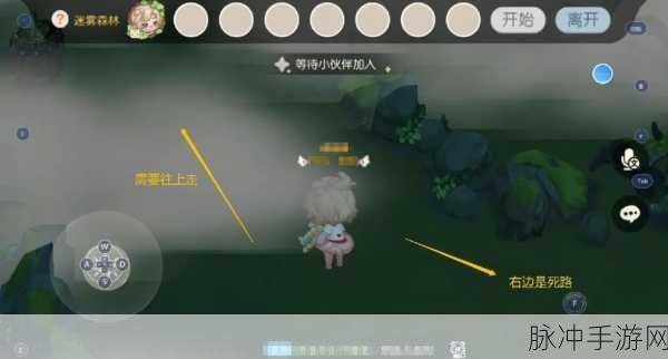 奥比岛梦想国度，迷雾森林探险全攻略解锁