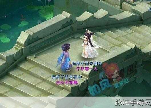 梦幻联动，战力飙升！九尾狐媚儿最强组合揭秘与新角色前瞻