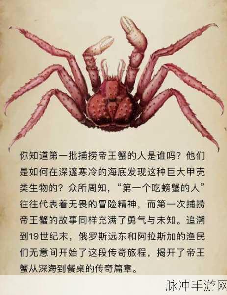超级收纳馆大揭秘，小本买卖中的帝王蟹禁忌