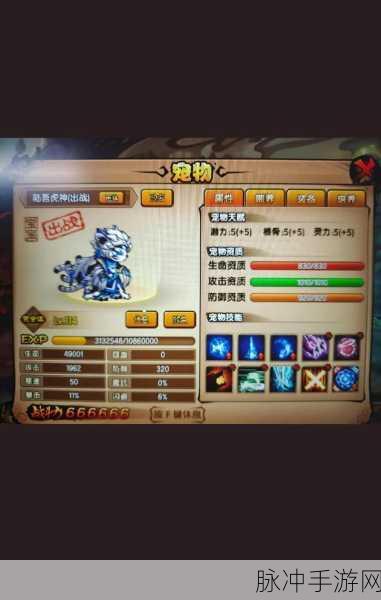 造梦西游4揭秘，如何捕获神秘坐骑青龙