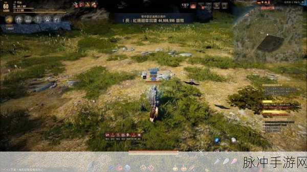 黑色沙漠手游,揭秘北部大农场主人的神秘位置
