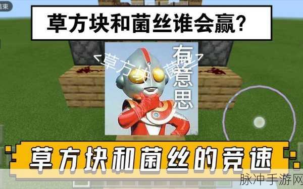 我的世界菌丝土获取全攻略