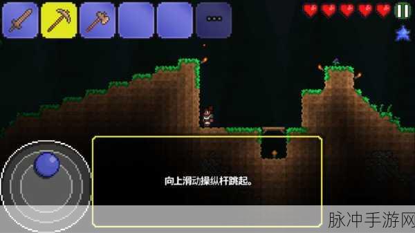泰拉瑞亚奇趣探索，渔夫与杂货店商人的秘密鱼池，解锁钓鱼新境界