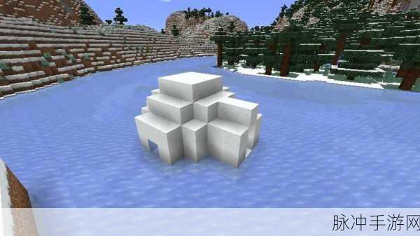 探秘我的世界，雪屋坐标大揭秘