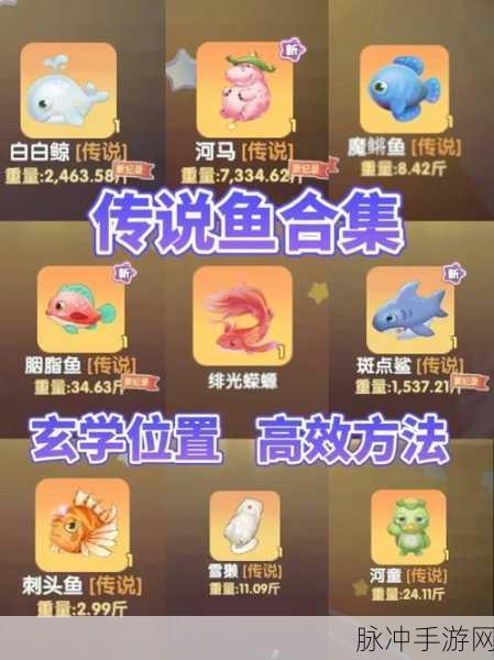 摩尔庄园高级鱼饵获取秘籍与钓鱼技巧大公开