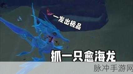 创造与魔法疗海龙捕捉全攻略