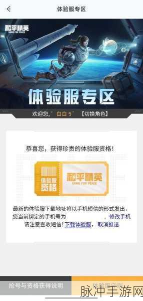 和平精英体验专区揭秘，申请入口与资格全攻略