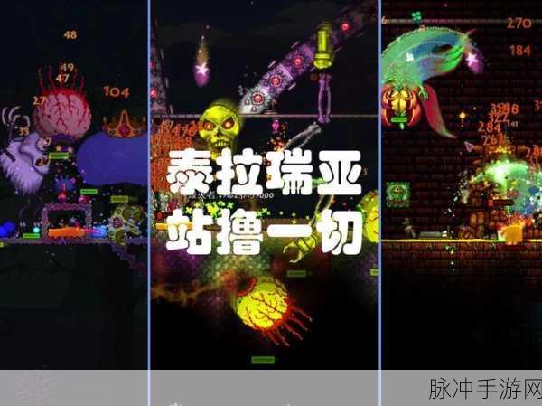 泰拉瑞亚奇遇，解锁变种雪球鱼的秘密宝藏