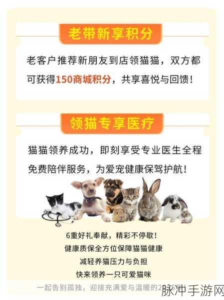 喵大人物语,预约开启,与萌宠猫咪共赴养成之旅