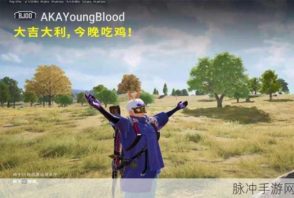 绝地求生，手游界的生存艺术，玩家心中的策略盛宴